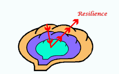 Three Brains: What Is The Figurative Concept? - Relationships Relearned