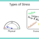 Do You Know The 3 Types of Stress?