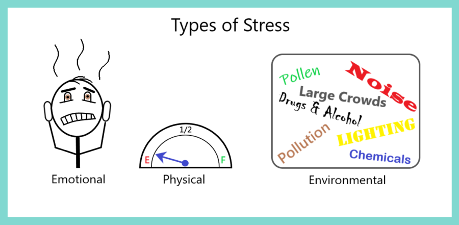 The 3 Types of Stress