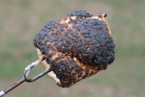 This image is of a burnt marshmallow that represents people that put on a façade of being tough but really soft inside.