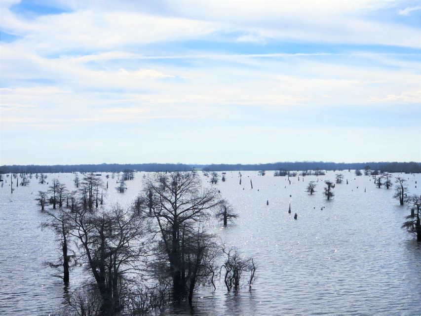 The shallowness of the river with the wide width represents the saying: A Mile Wide and an Inch Deep.