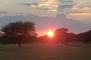 Positive and Negative Aspects of Anger: At the end of the day, make your negative anger feelings positive feelings and empower yourself.