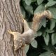 From My Book: How To Tame Your Inner Squirrel