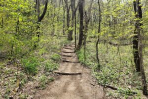 FOND or Fear Of Not Doing is when you feel guilty for spending free moments not being productive, for example, napping instead of running errands or washing the dishes or mowing the lawn.