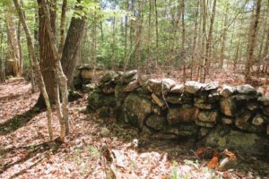 This rock wall in the woods represents a land boundary. Enforcing boundaries help prevent other land owners from straying onto their property.