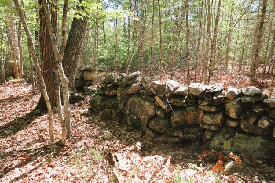 This rock wall in the woods represents a land boundary. Enforcing boundaries help prevent other land owners from straying onto their property.