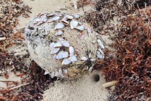 Hard Skills are the individuals technical abilities while Soft Skills are the individuals personal and interpersonal abilities. This all relates to self-esteem.