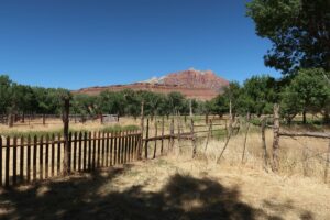 This fence is an example of a device that you can use to control what you can control.