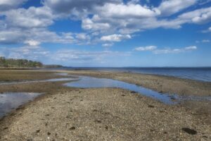 Wide view of a rocky beach with shallow tidal pools, calm sea, and blue sky with fluffy clouds. Thinking of what if.