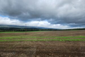 The open field on a cloudy day can be compaired to a break up of a relationship. Dark, dim, gray and lacking joyfulness.
